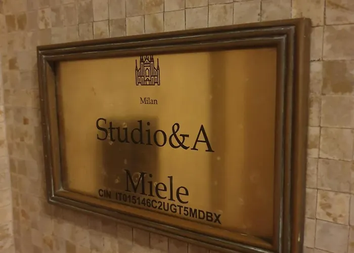 Sudio&A Miele